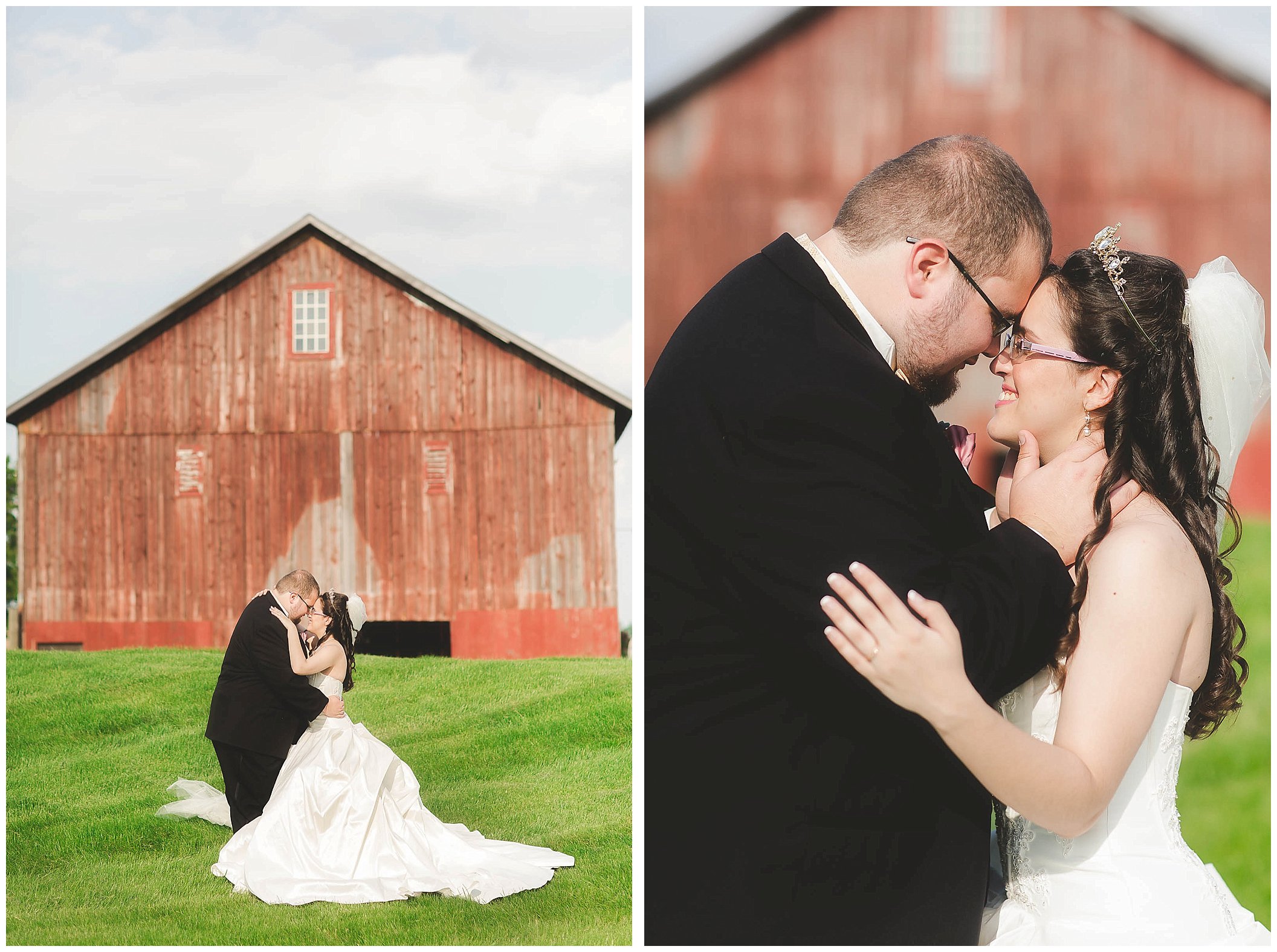 Fort Wayne Indiana Wedding Photographer, Beauty and the Beast Inspired Wedding_0001.jpg