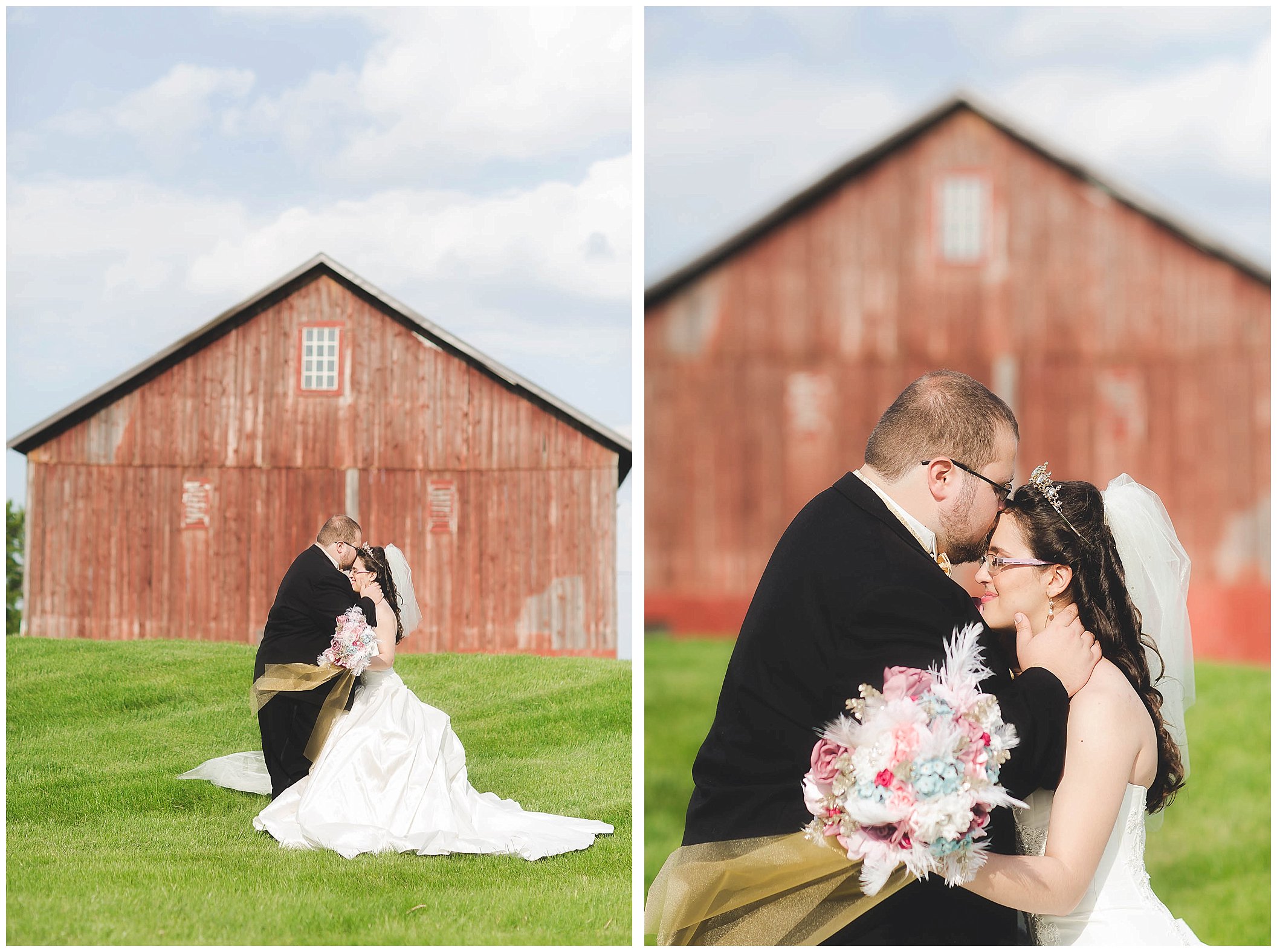 Fort Wayne Indiana Wedding Photographer, Beauty and the Beast Inspired Wedding_0002.jpg