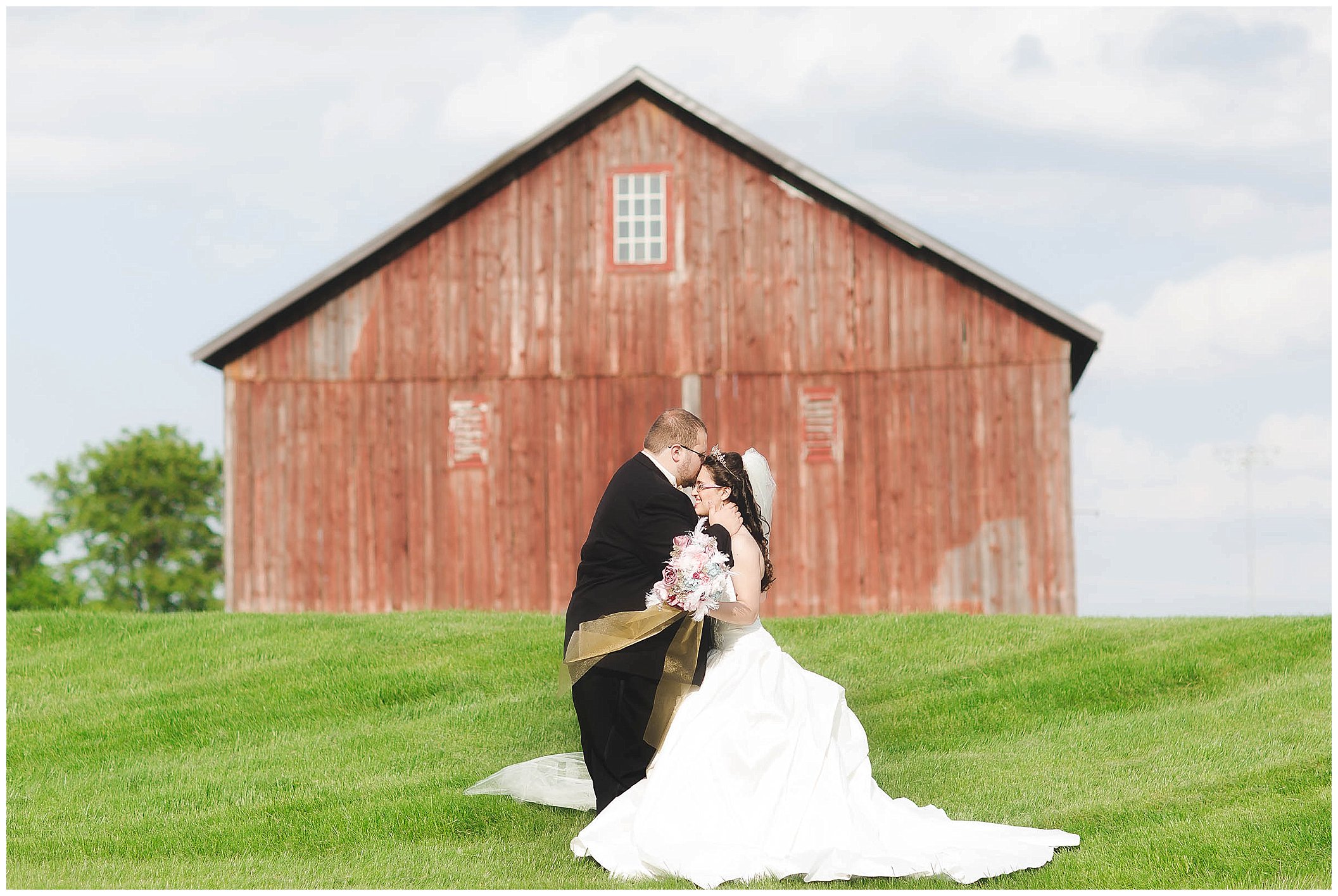 Fort Wayne Indiana Wedding Photographer, Beauty and the Beast Inspired Wedding_0003.jpg
