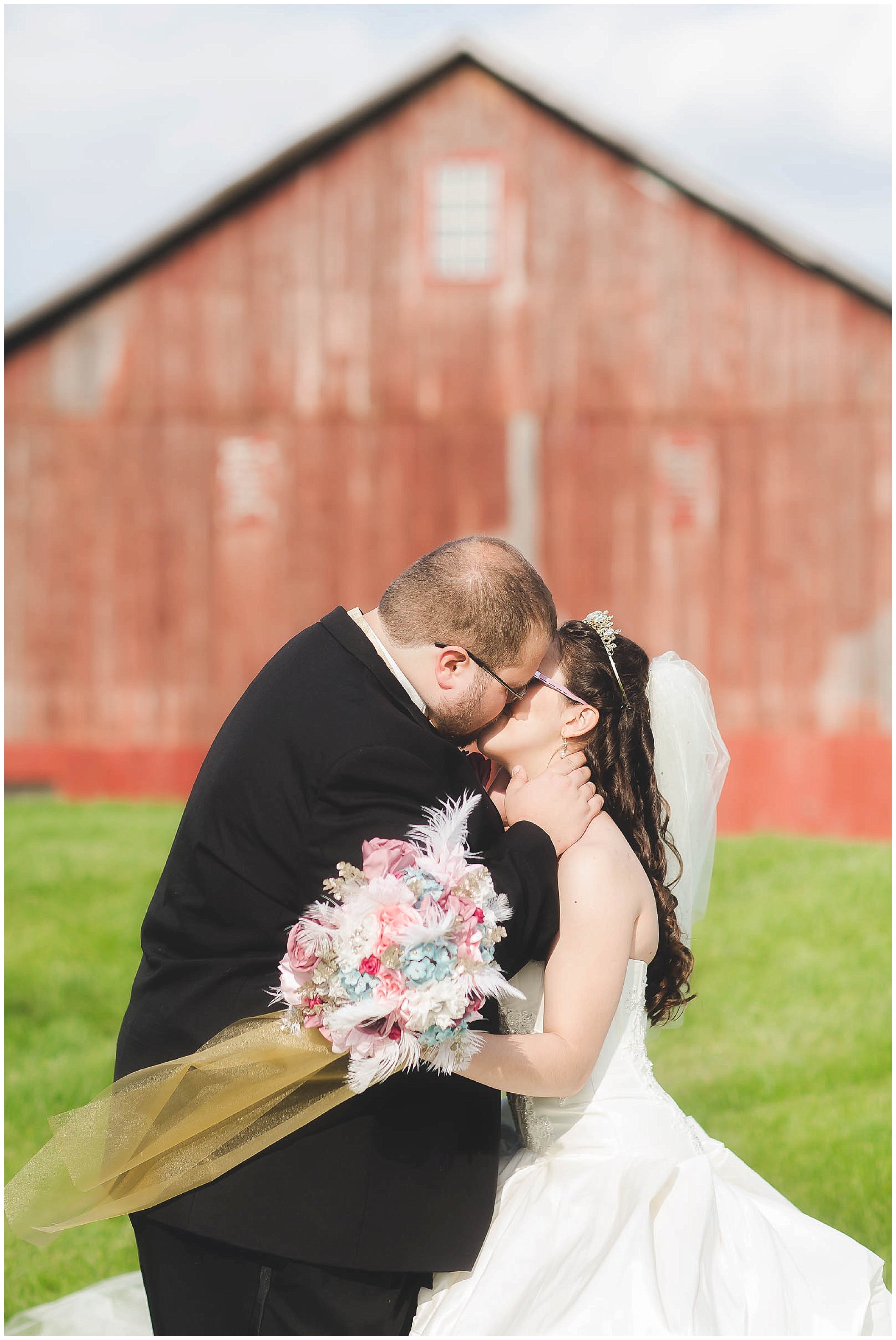 Fort Wayne Indiana Wedding Photographer, Beauty and the Beast Inspired Wedding_0004.jpg