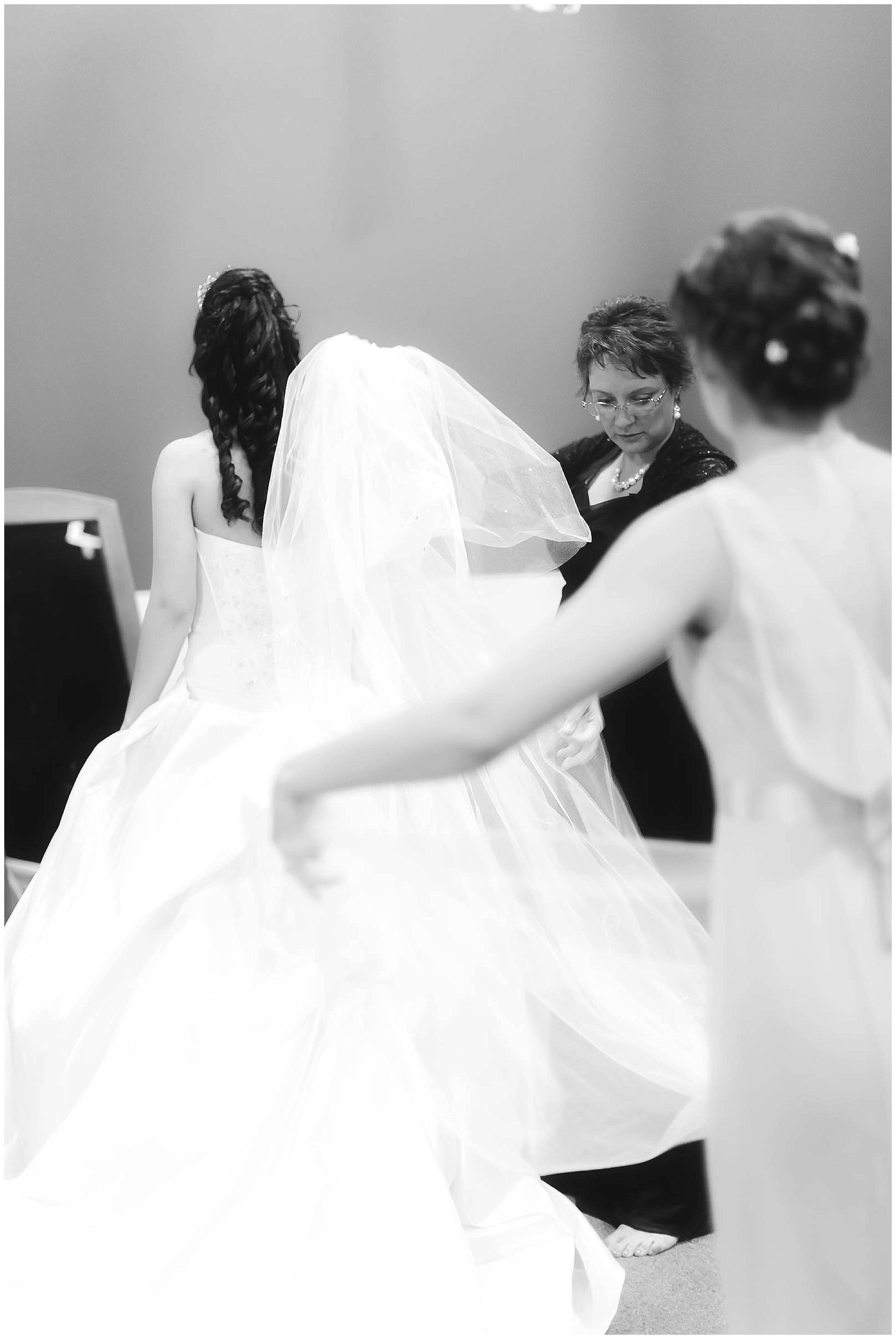 Fort Wayne Indiana Wedding Photographer, Beauty and the Beast Inspired Wedding_0017.jpg