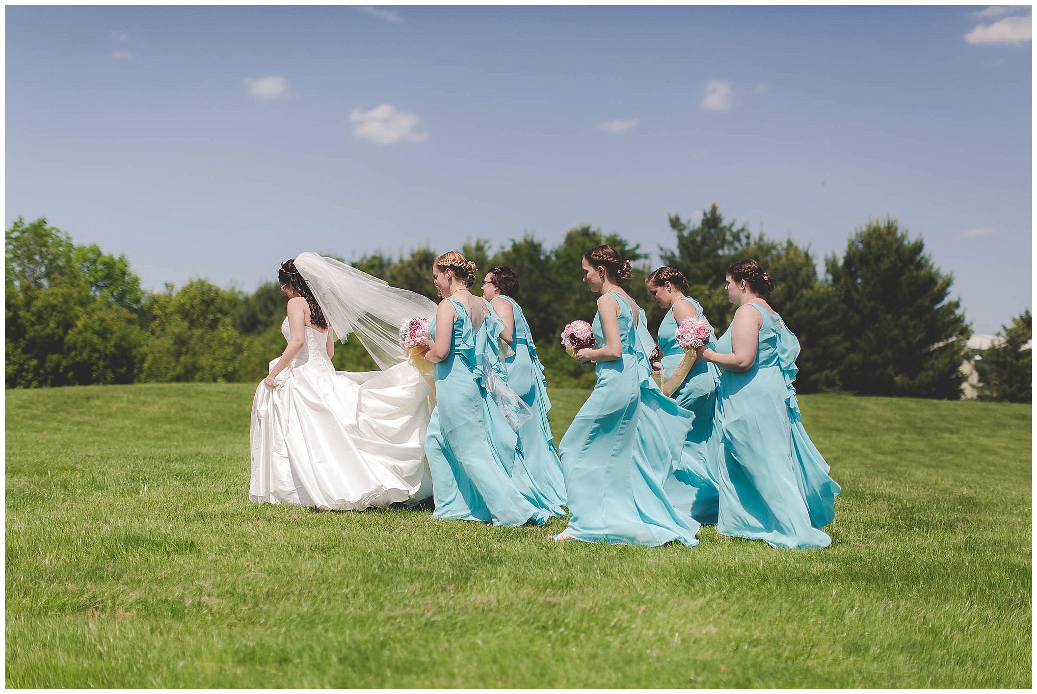 Fort Wayne Indiana Wedding Photographer, Beauty and the Beast Inspired Wedding_0019.jpg