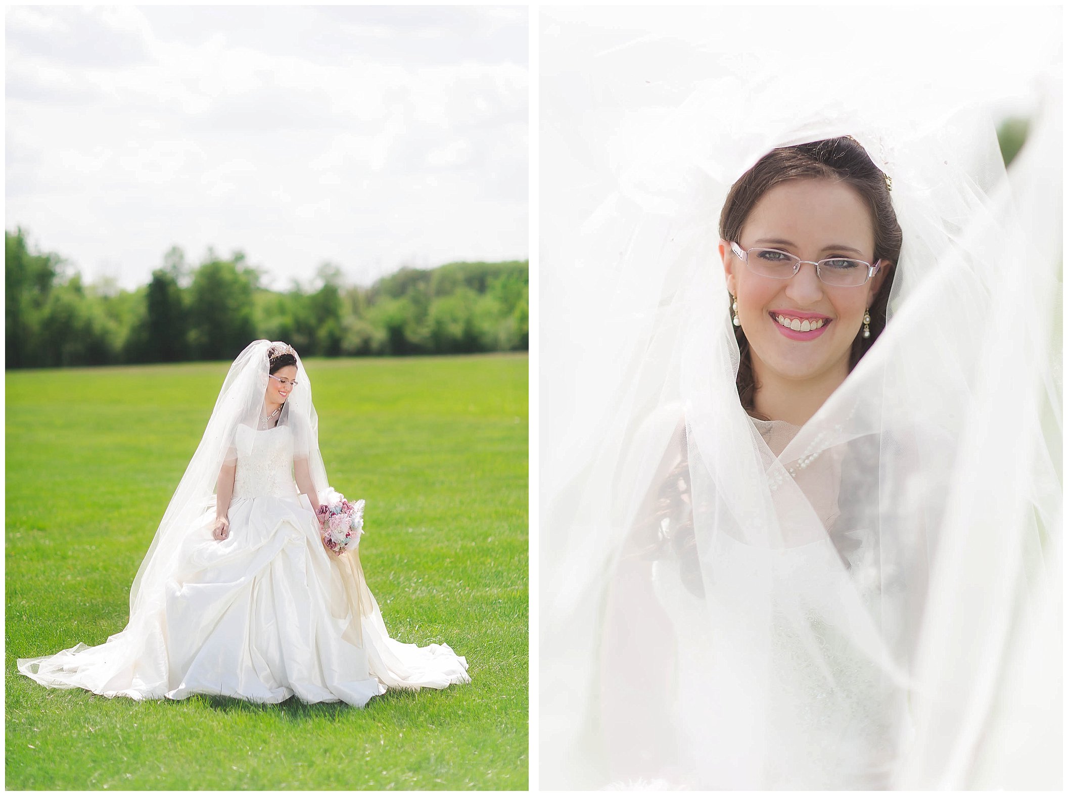 Fort Wayne Indiana Wedding Photographer, Beauty and the Beast Inspired Wedding_0022.jpg