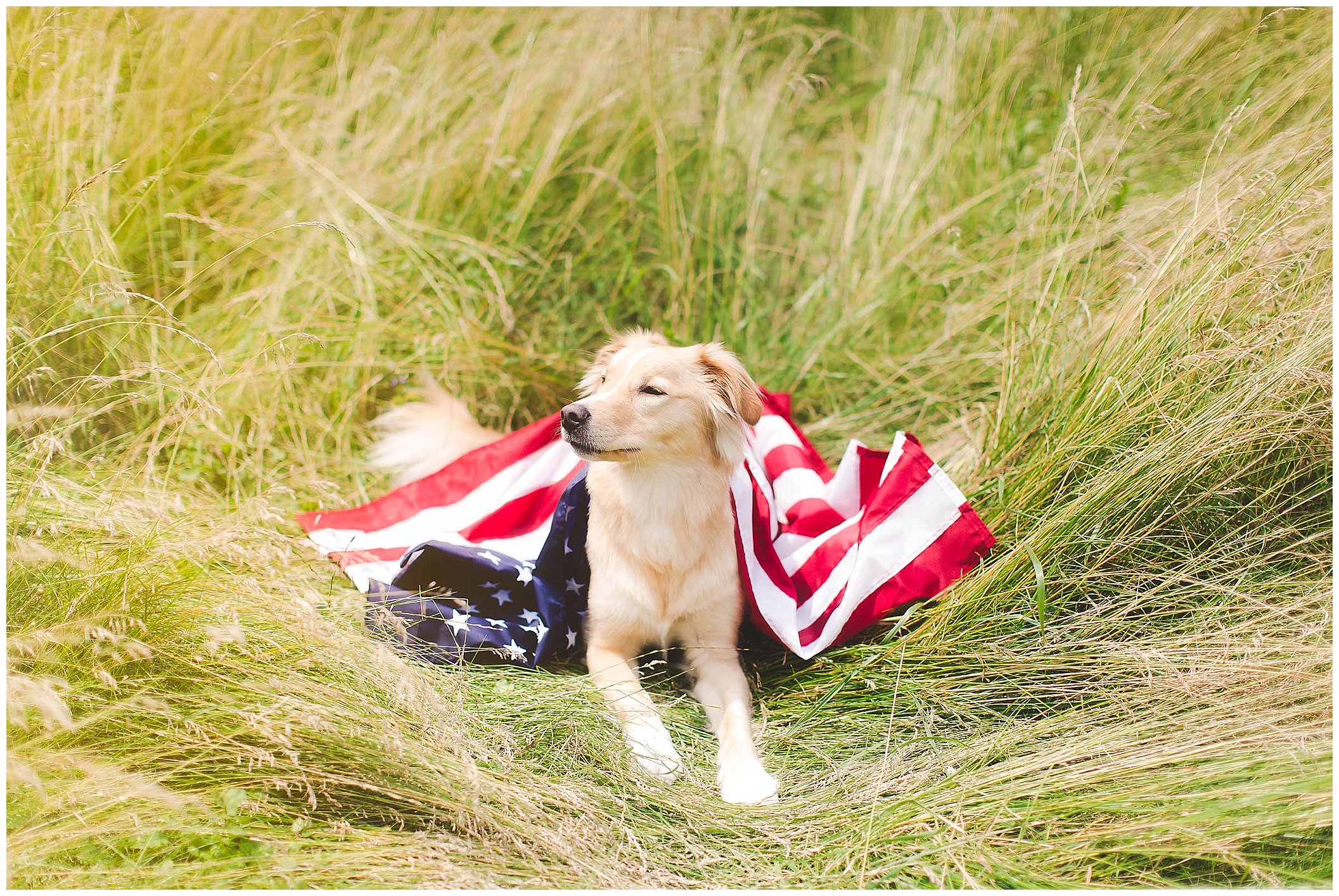 4th of July portraits, patriotic family and dog with american flag_0056.jpg
