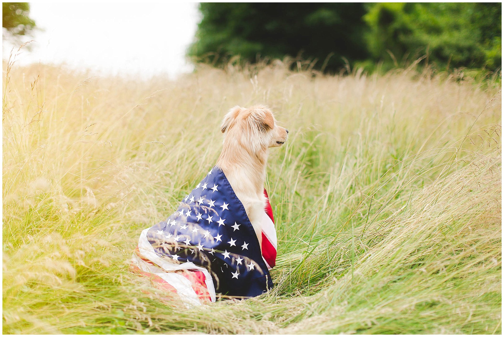 4th of July portraits, patriotic family and dog with american flag_0059.jpg
