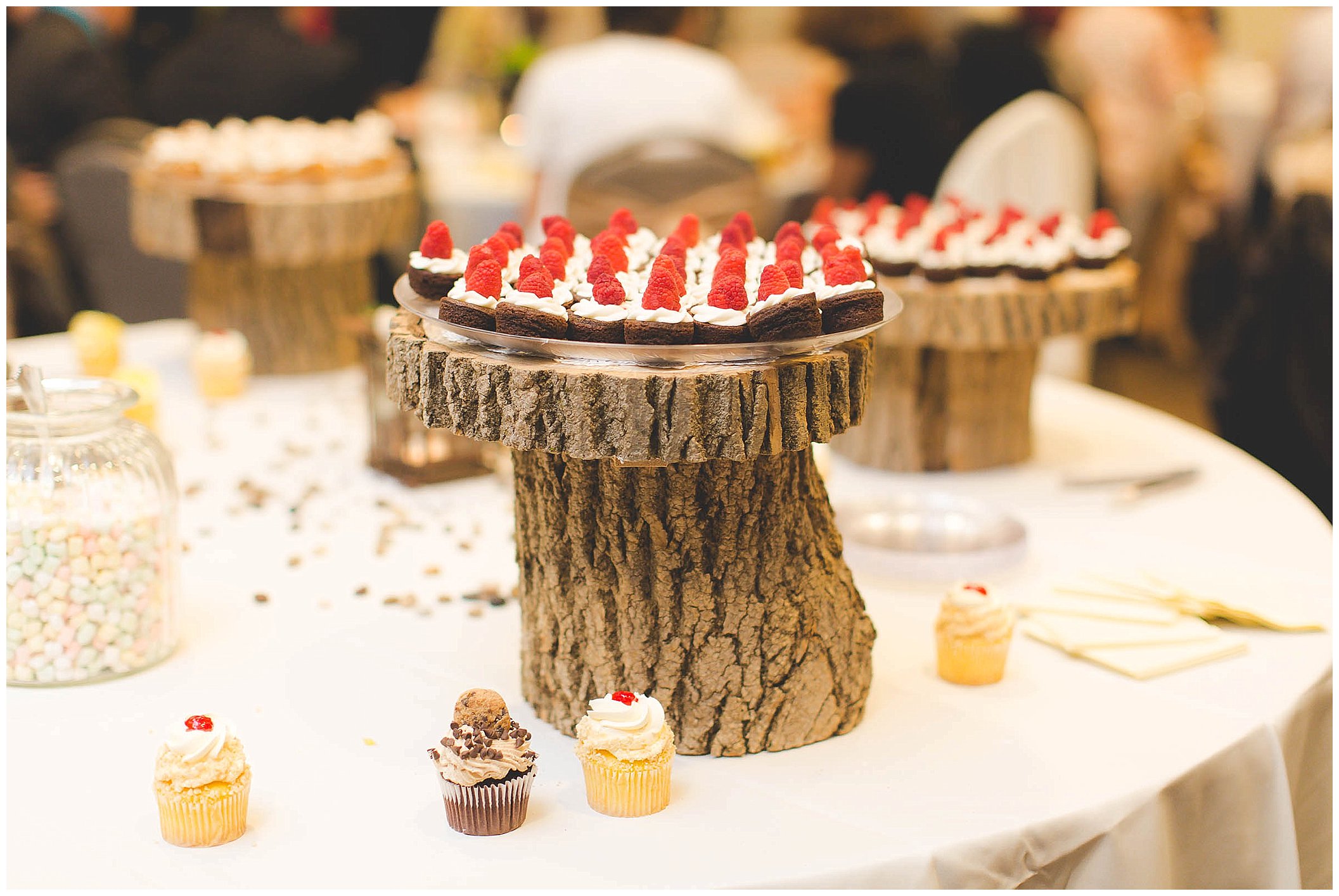 Rustic Indianapolis Wedding, Indianapolis Wedding Photographer_0078.jpg