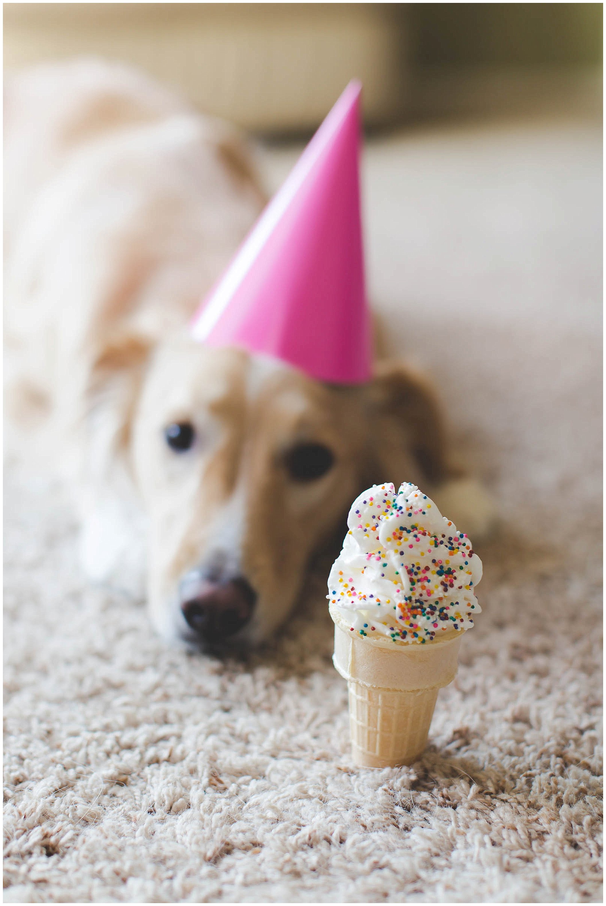 Puppy birthday party and adorable birthday photos!_0058.jpg