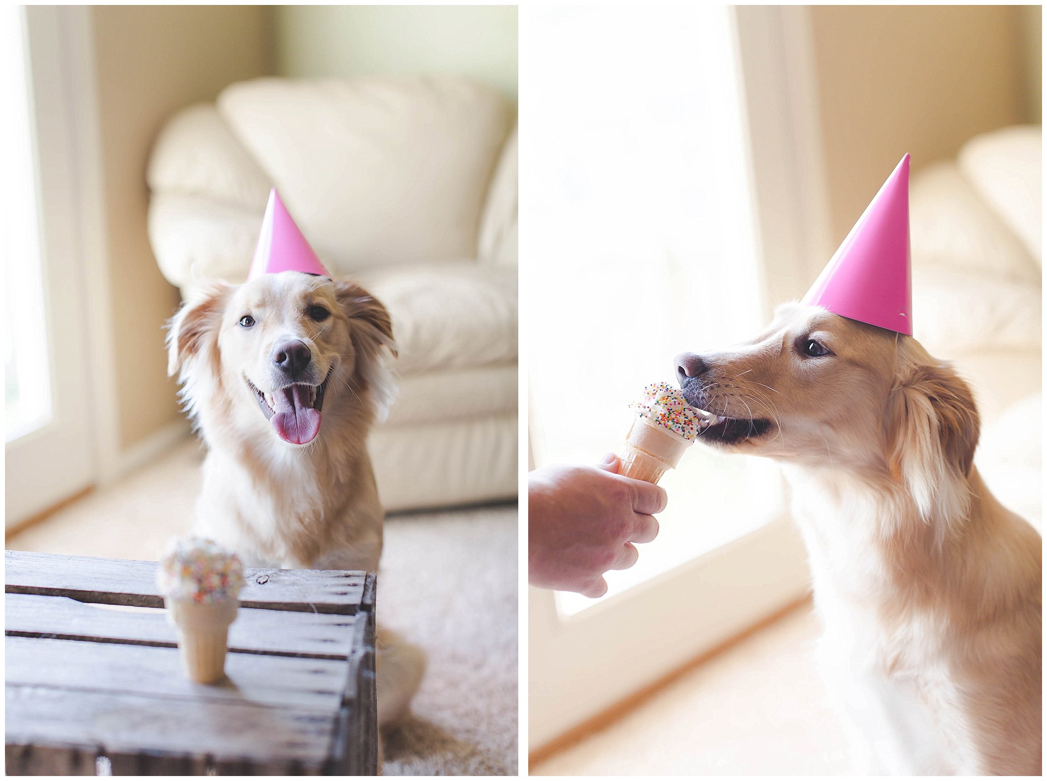 Puppy birthday party and adorable birthday photos!_0062.jpg