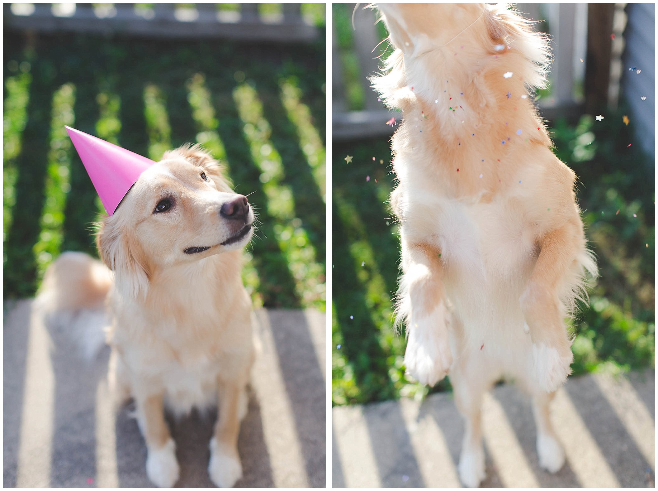 Puppy birthday party and adorable birthday photos!_0069.jpg