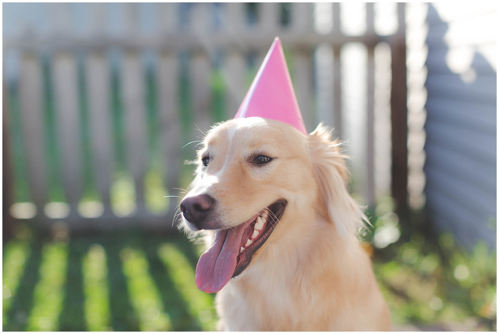 Puppy birthday party and adorable birthday photos!_0070.jpg