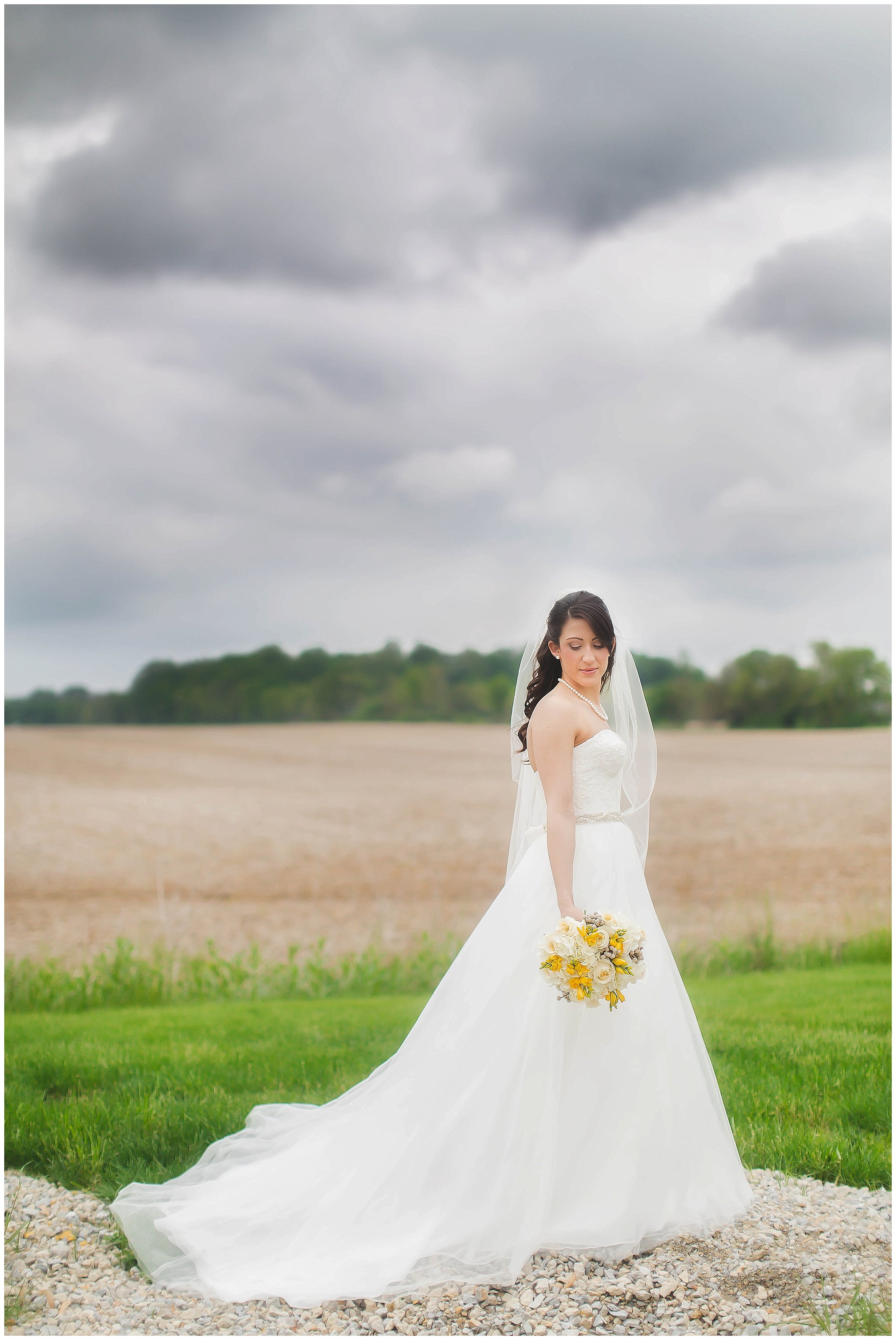 Fort Wayne Wedding Photographer, Best Wedding Photography in Fort Wayne_0093.jpg