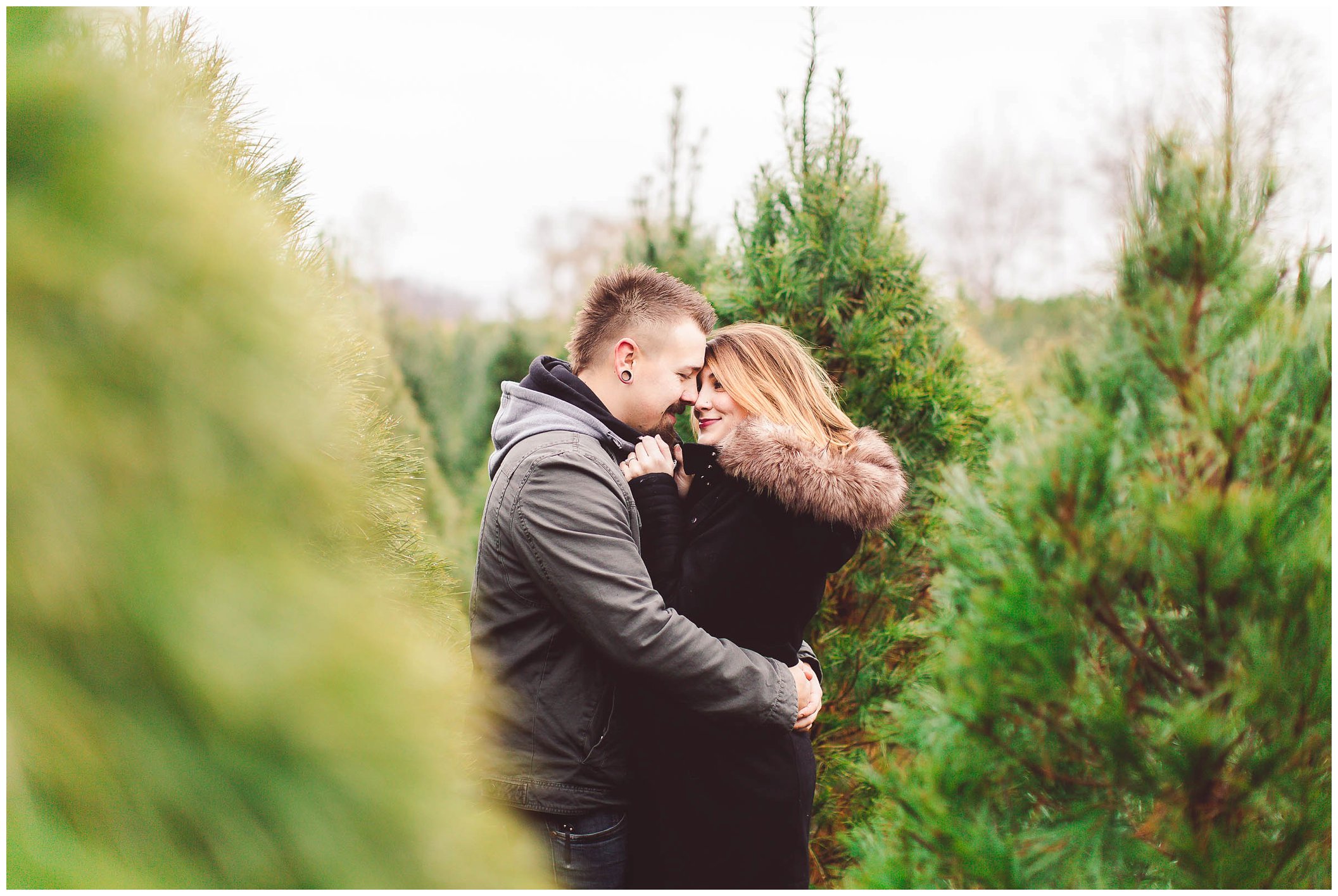 Gorgeous engagement session, Dull's Christmas Tree Farm, Amazing Wedding Venue in Throntown, Indiana_0019.jpg