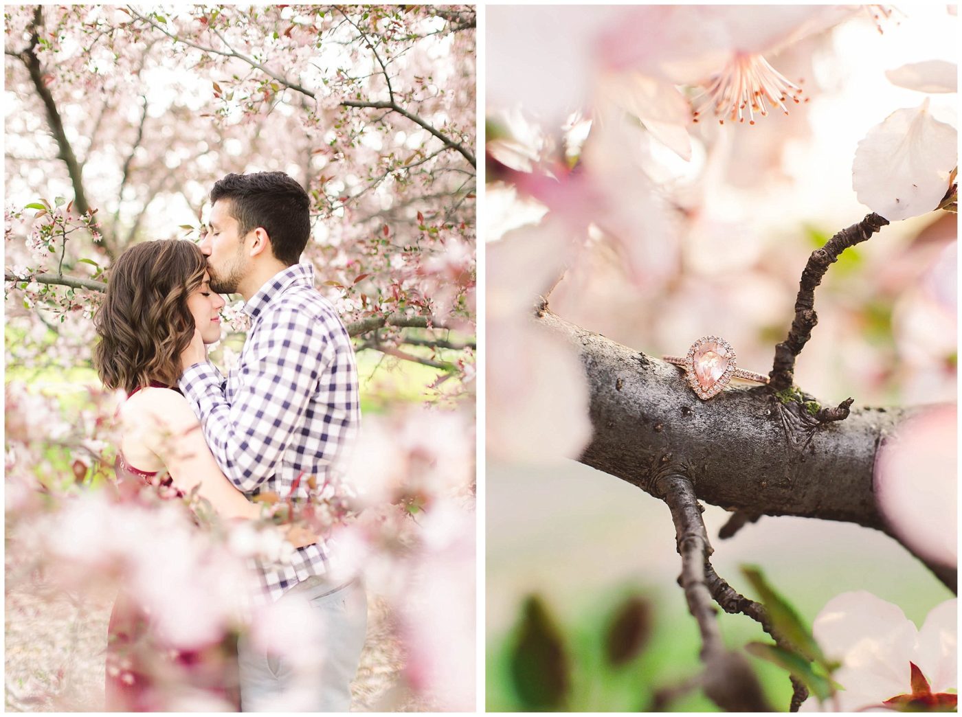 Elegant Spring engagement session in Fort Wayne, Indiana Wedding Photographer_0065