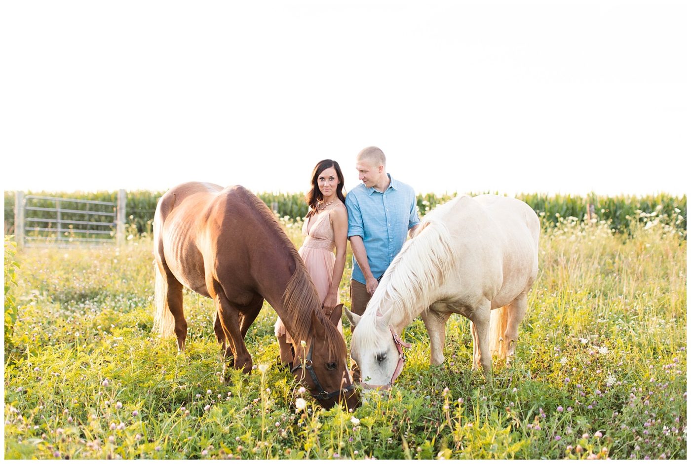 Couple standing together in a field with two gorgeous horses on an open field in the country 